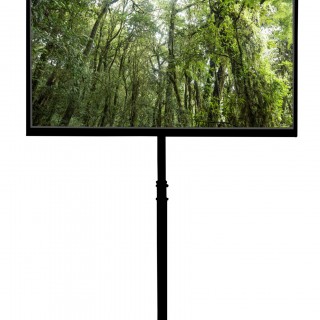 tv screen